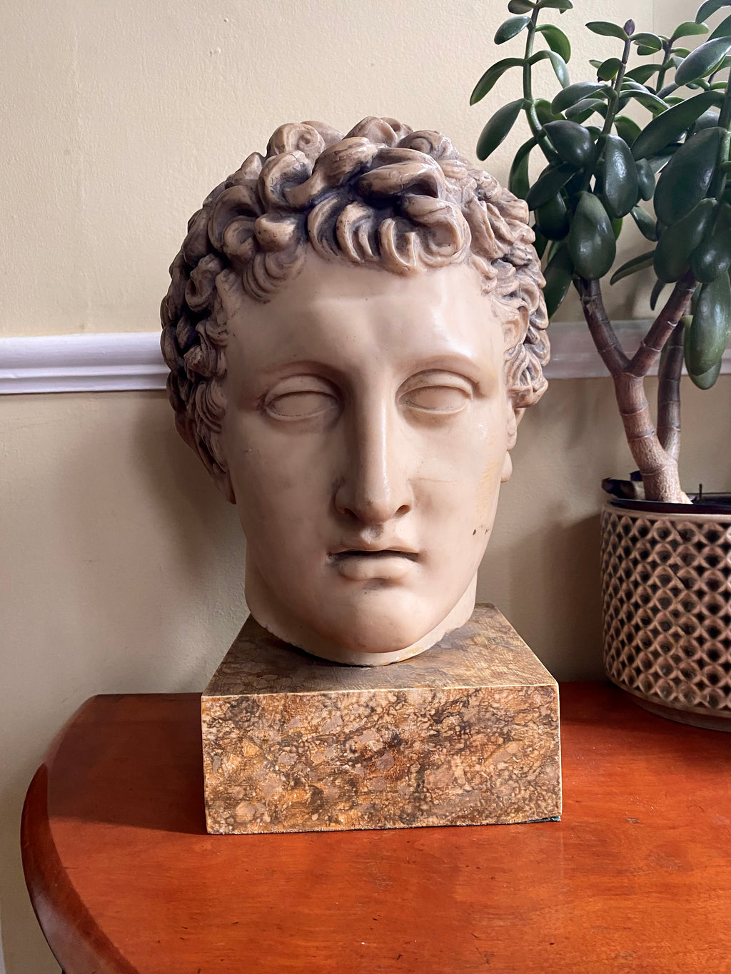 Apollo, Resin Bust, Vintage, made by British Museum, London