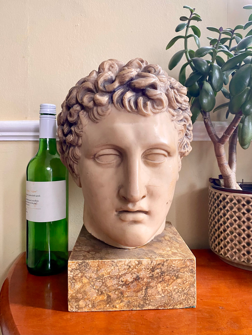 Apollo, Resin Bust, Vintage, made by British Museum, London