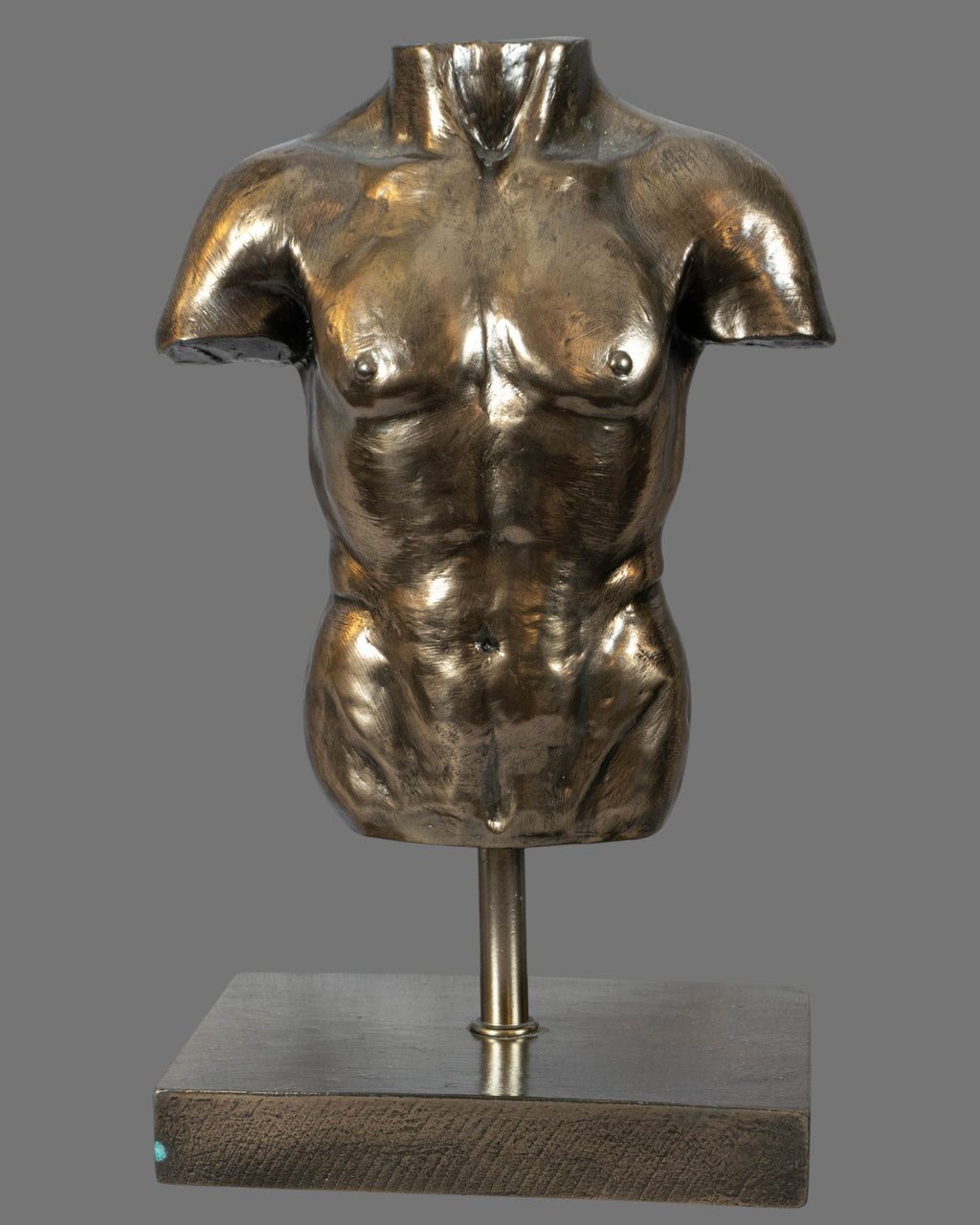 Male Torso, Bronzed/Silvered,  antique style, contemporary, on base