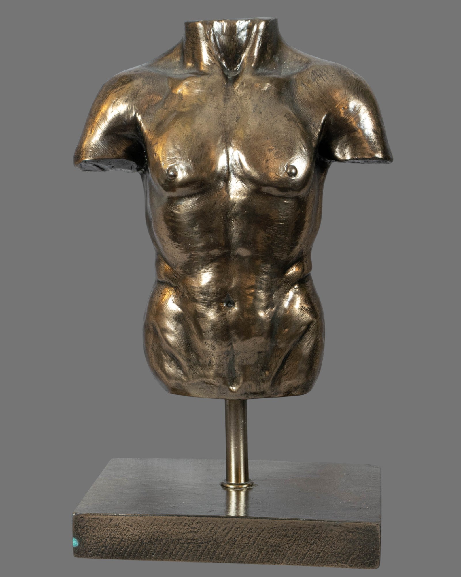 Male Torso, Bronzed/Silvered,  antique style, contemporary, on base