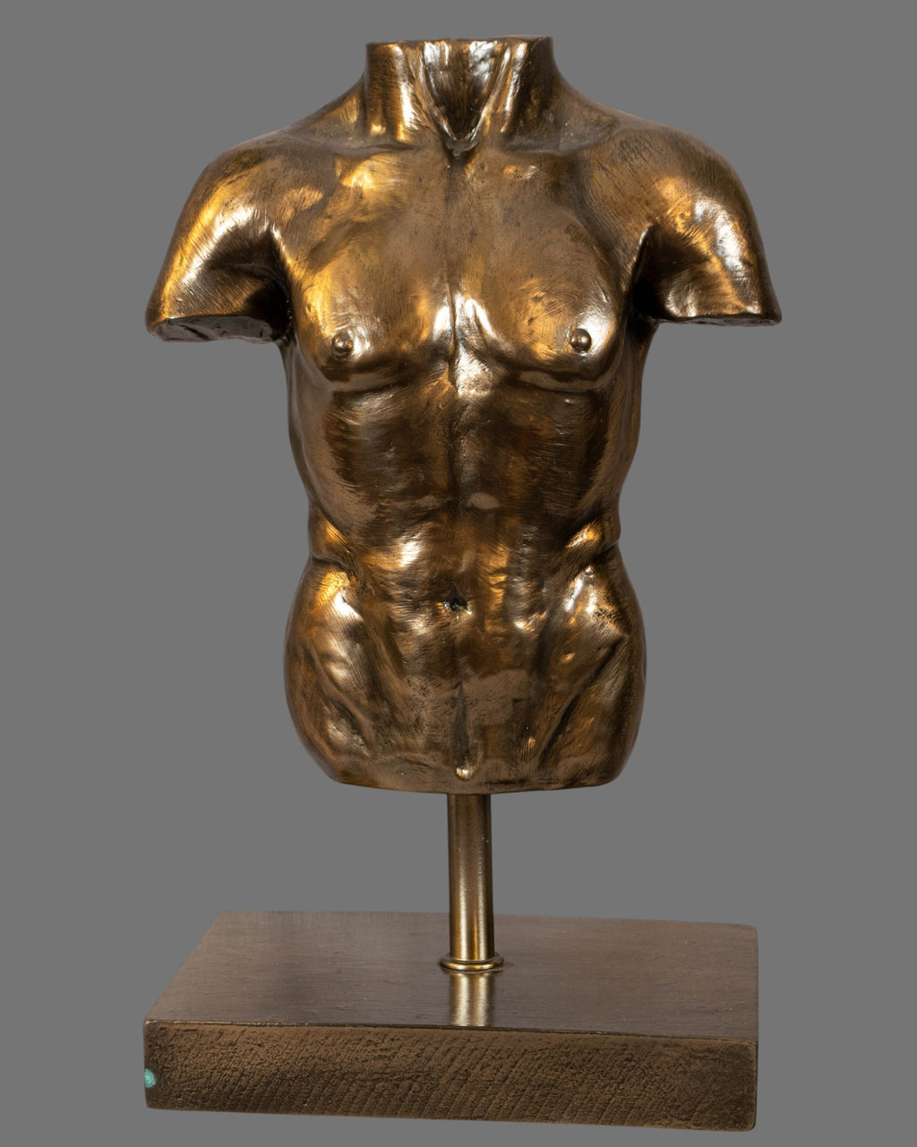Male Torso, Bronzed/Silvered,  antique style, contemporary, on base