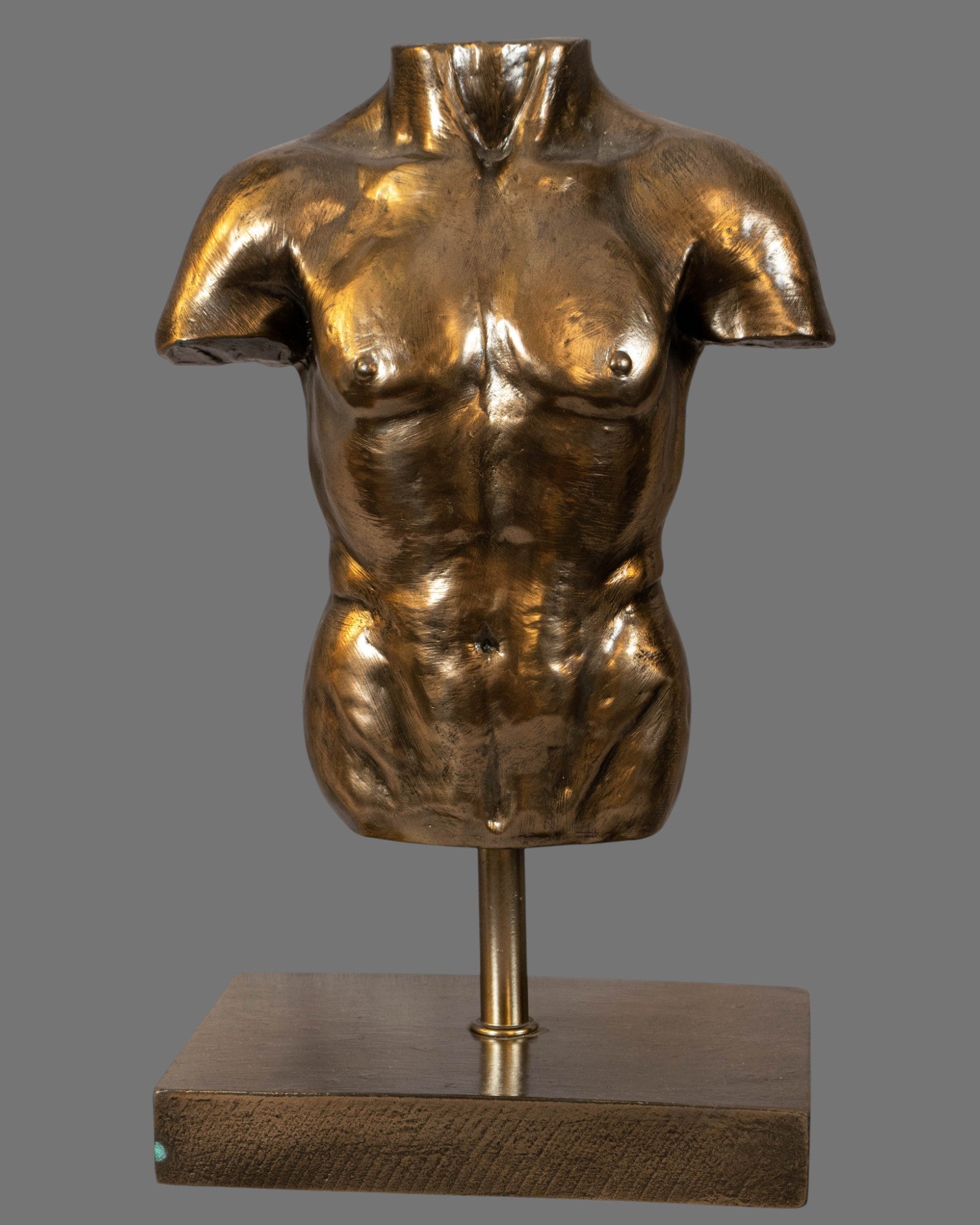 Male Torso, Bronzed/Silvered,  antique style, contemporary, on base