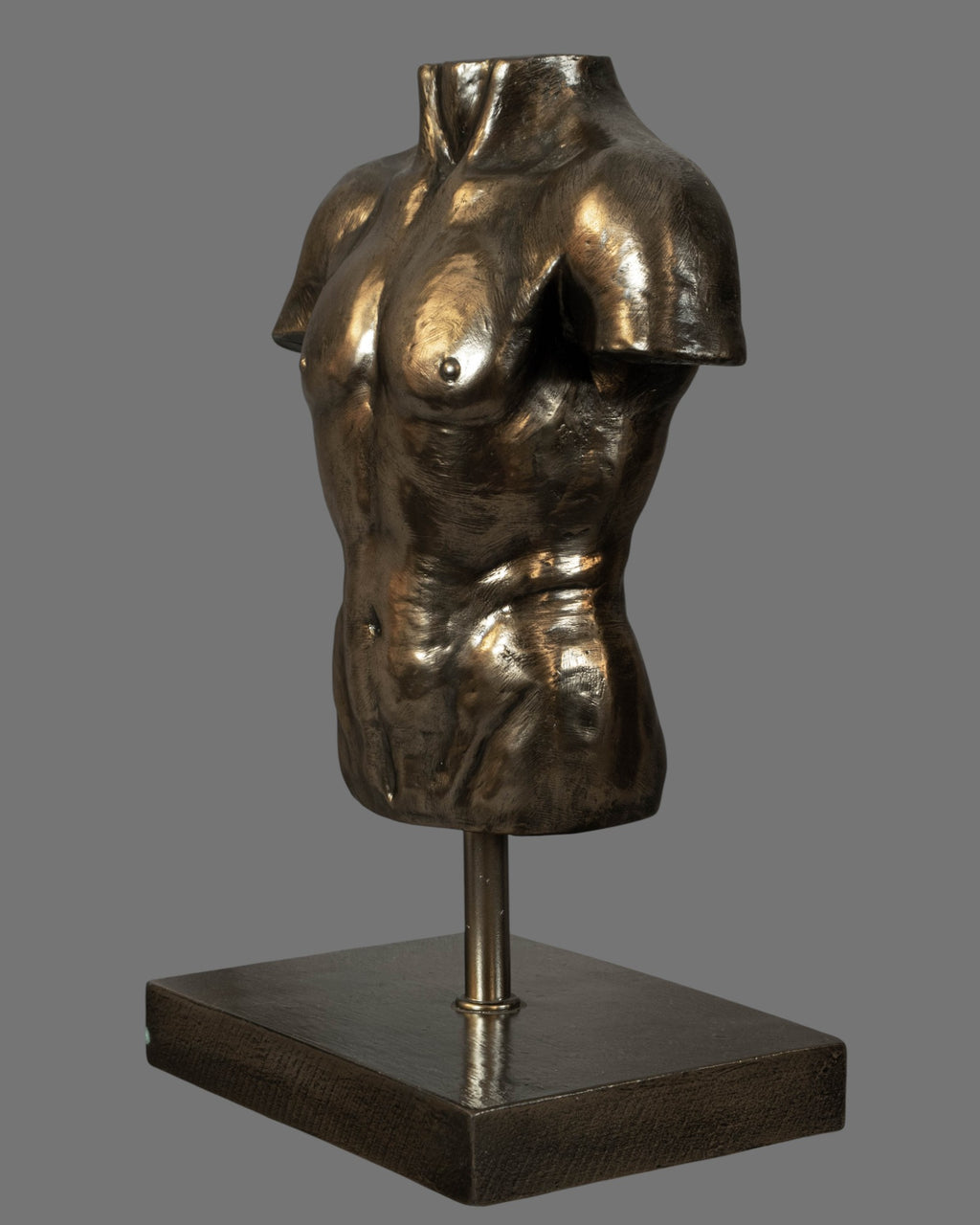 Male Torso, Bronzed/Silvered,  antique style, contemporary, on base