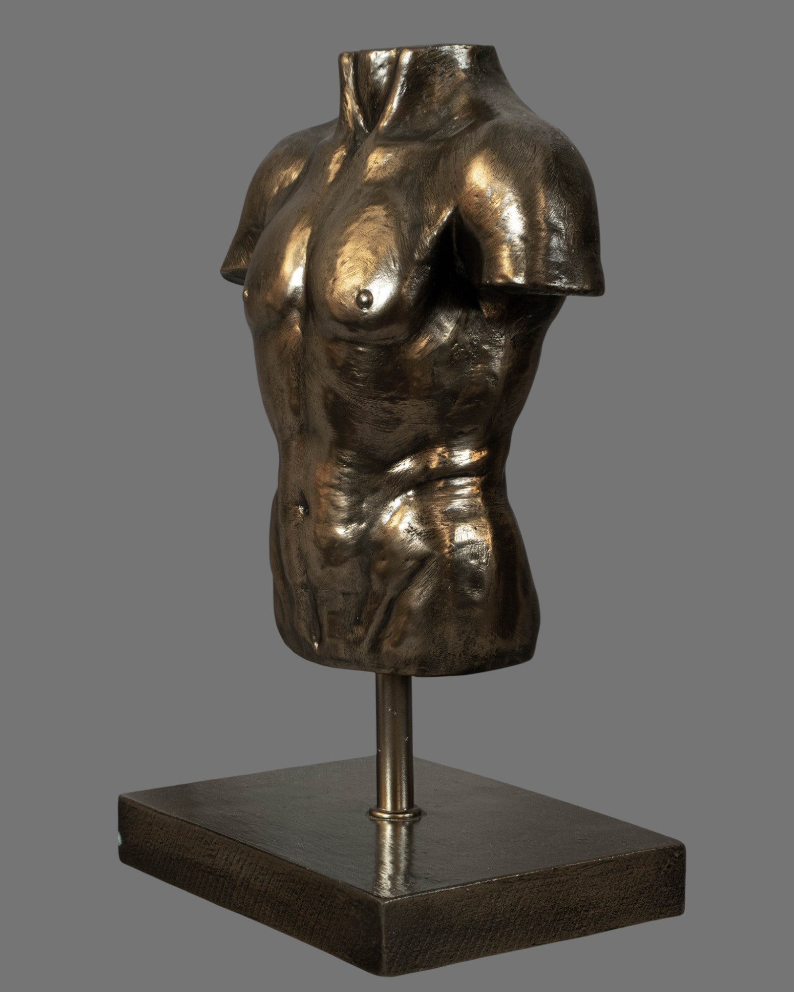 Male Torso, Bronzed/Silvered,  antique style, contemporary, on base