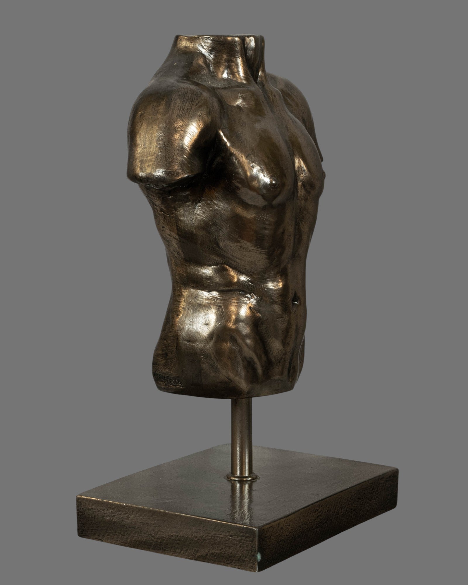 Male Torso, Bronzed/Silvered,  antique style, contemporary, on base