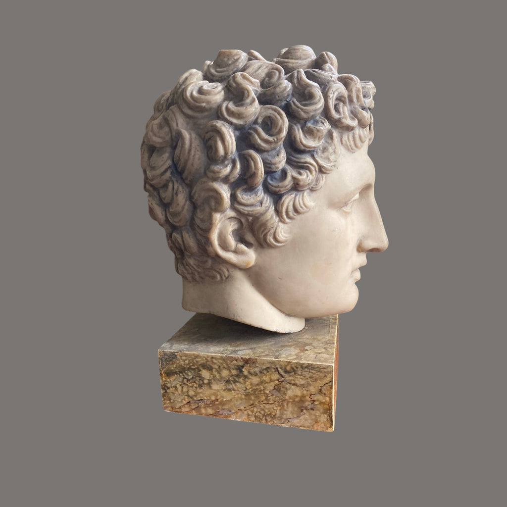 Apollo, Resin Bust, Vintage, made by British Museum, London
