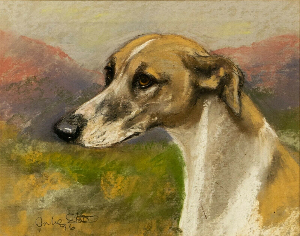 Watercolour, Vintage, Greyhound, signed Julie Scott