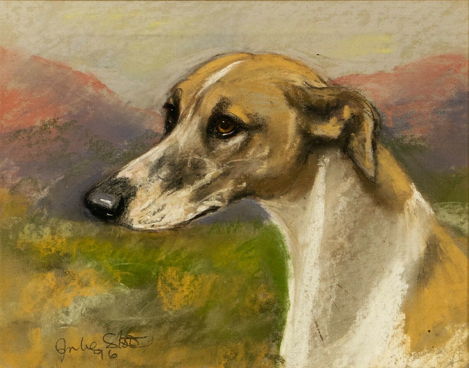 Watercolour, Vintage, Greyhound, signed Julie Scott