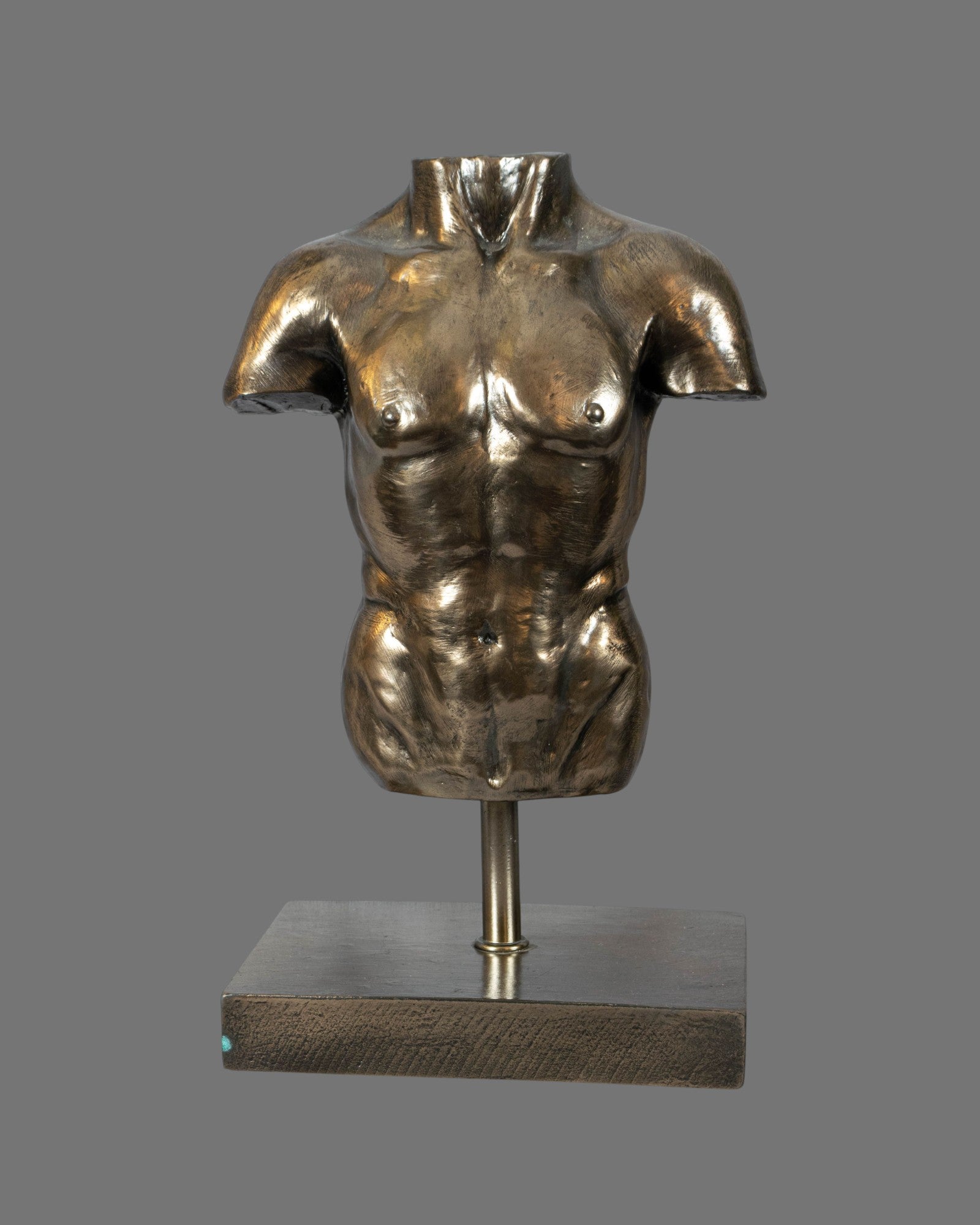 Male Torso, Bronzed/Silvered,  antique style, contemporary, on base
